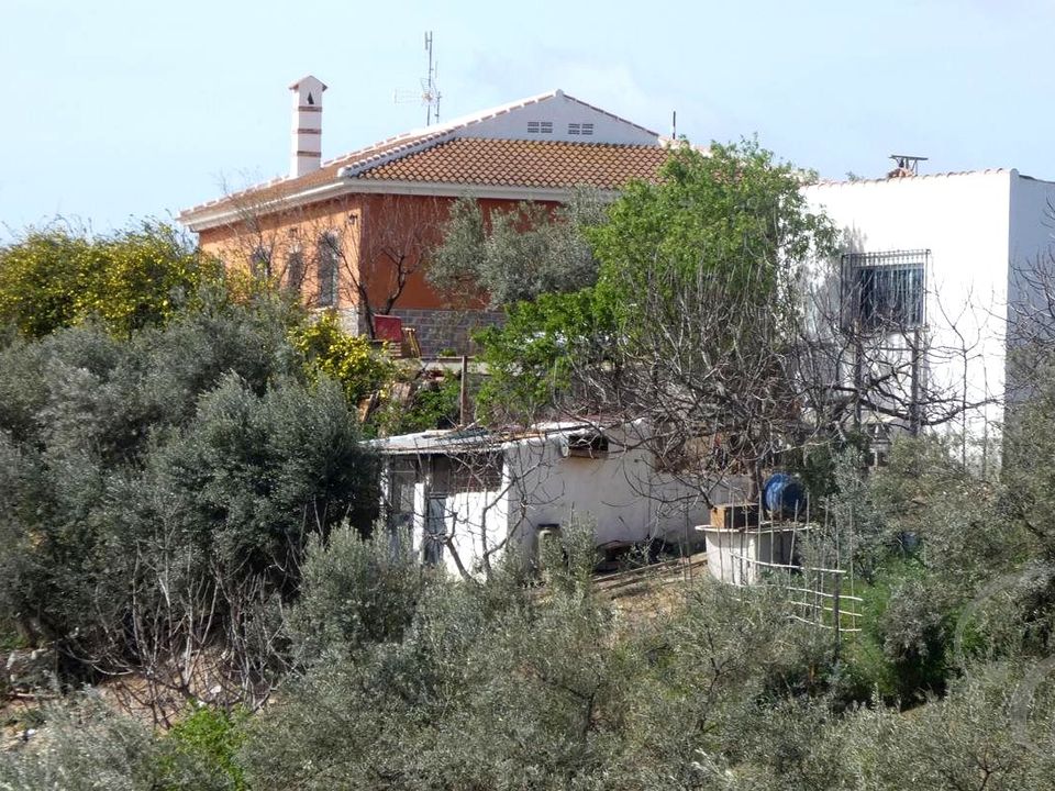 Landejendom i Villanueva De La Concepcion, Malaga - foto 3