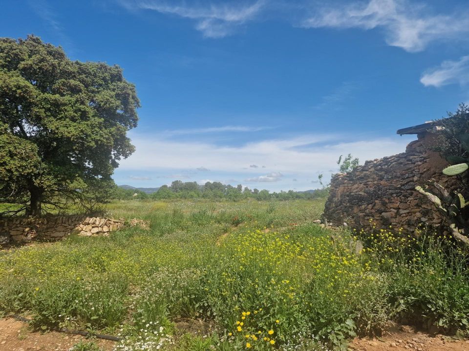 Helårsgrund i Valls, Tarragona - foto 1
