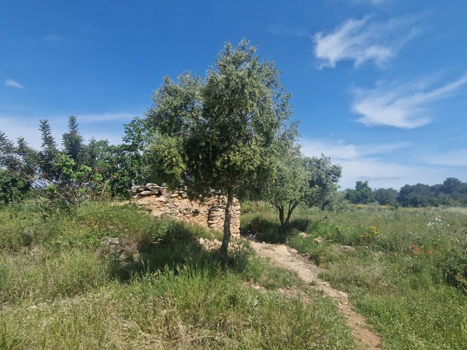 Helårsgrund i Valls, Tarragona - foto 3