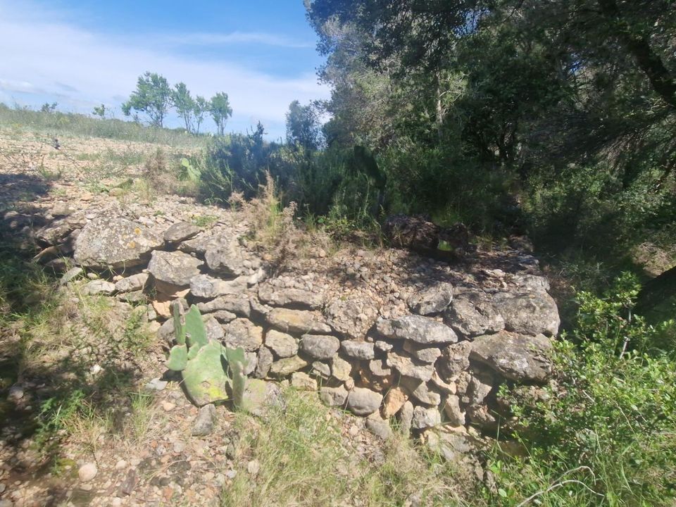 Helårsgrund i Valls, Tarragona - foto 4