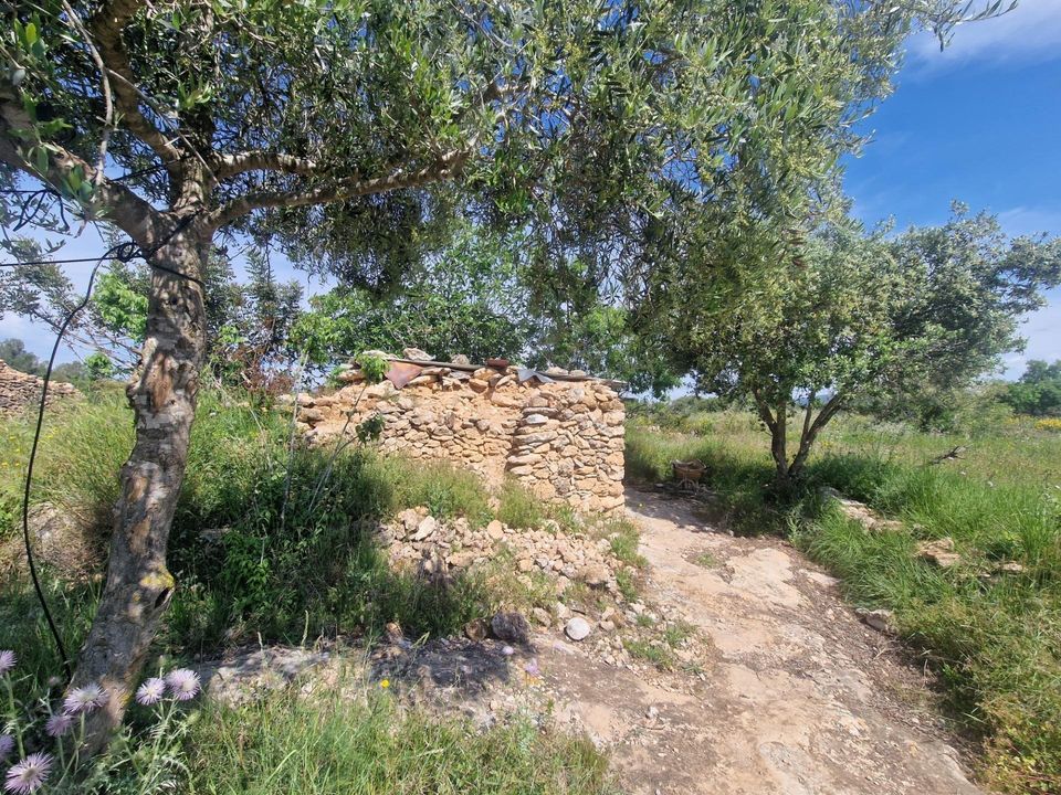 Helårsgrund i Valls, Tarragona - foto 5