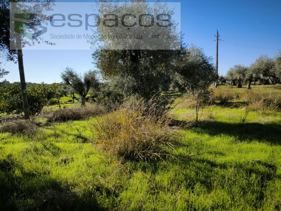 Helårsgrund i Castelo Branco, Castelo Branco - foto 4