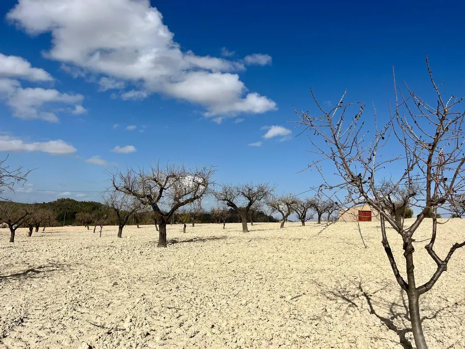 Helårsgrund i Bullas, Murcia - foto 2
