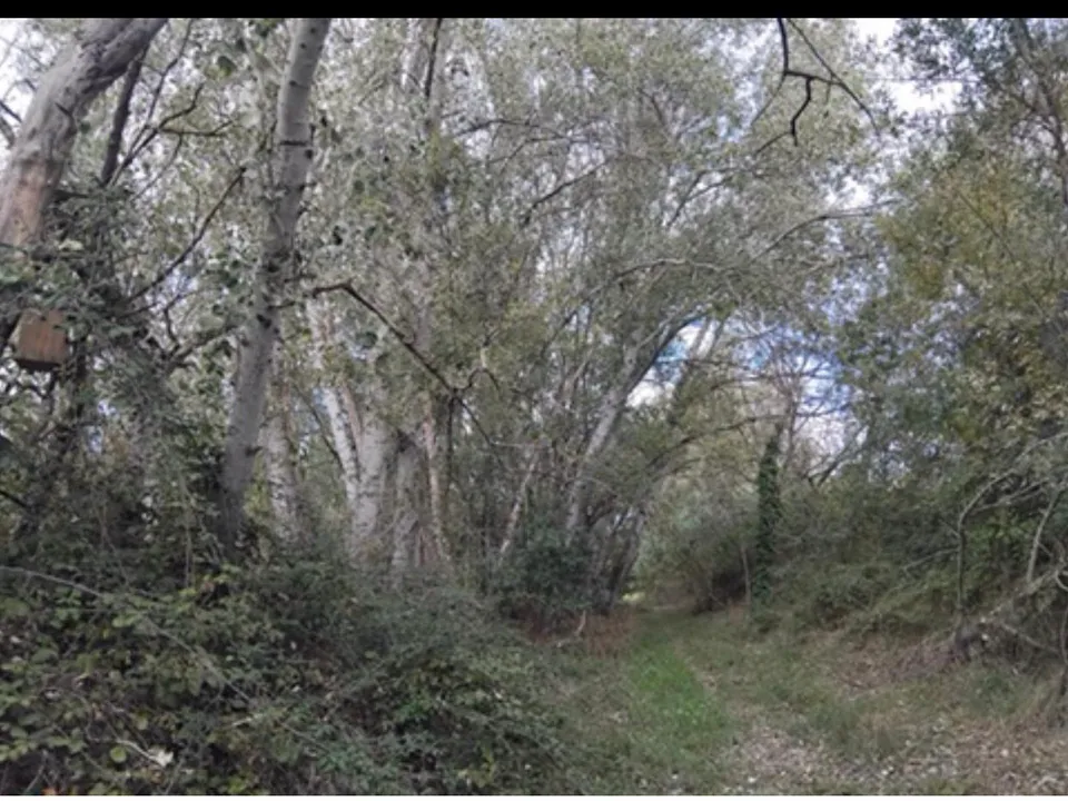 Finca i Garcia, Tarragona - foto 4