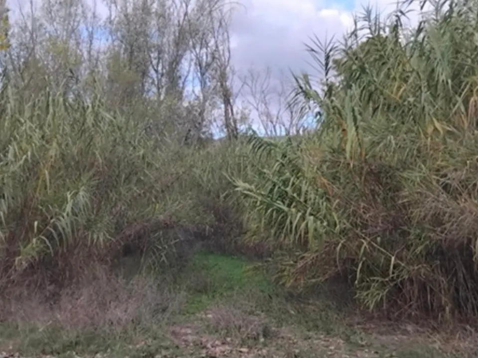 Finca i Garcia, Tarragona - foto 3
