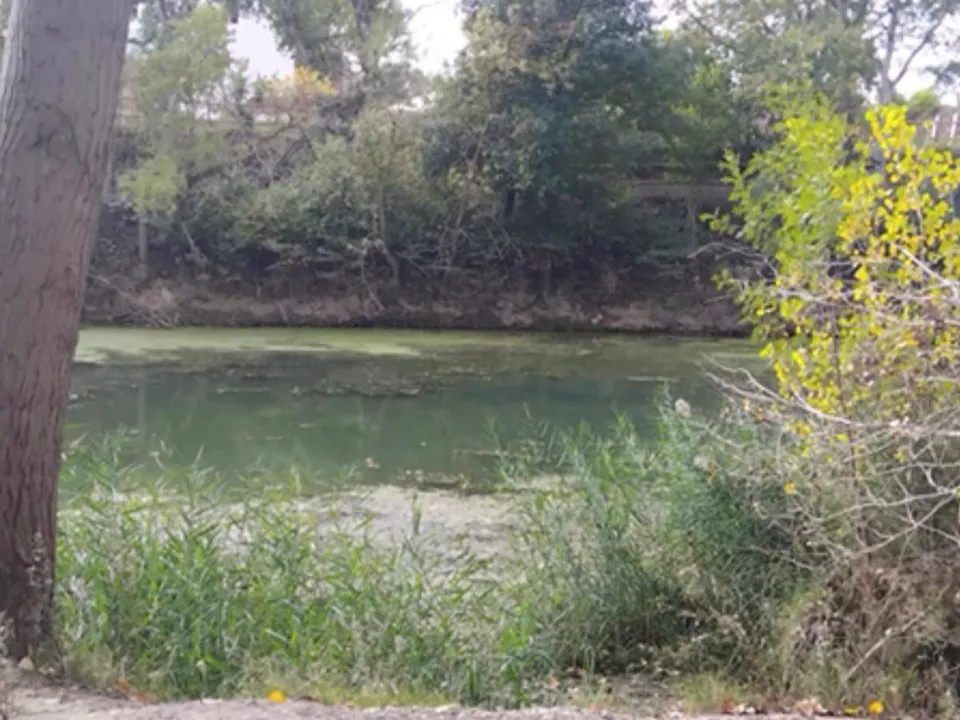 Finca i Garcia, Tarragona - foto 5