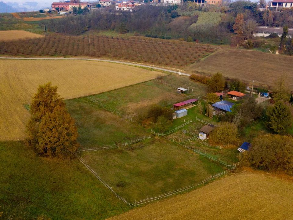Villa i Antignano, Asti - foto 4