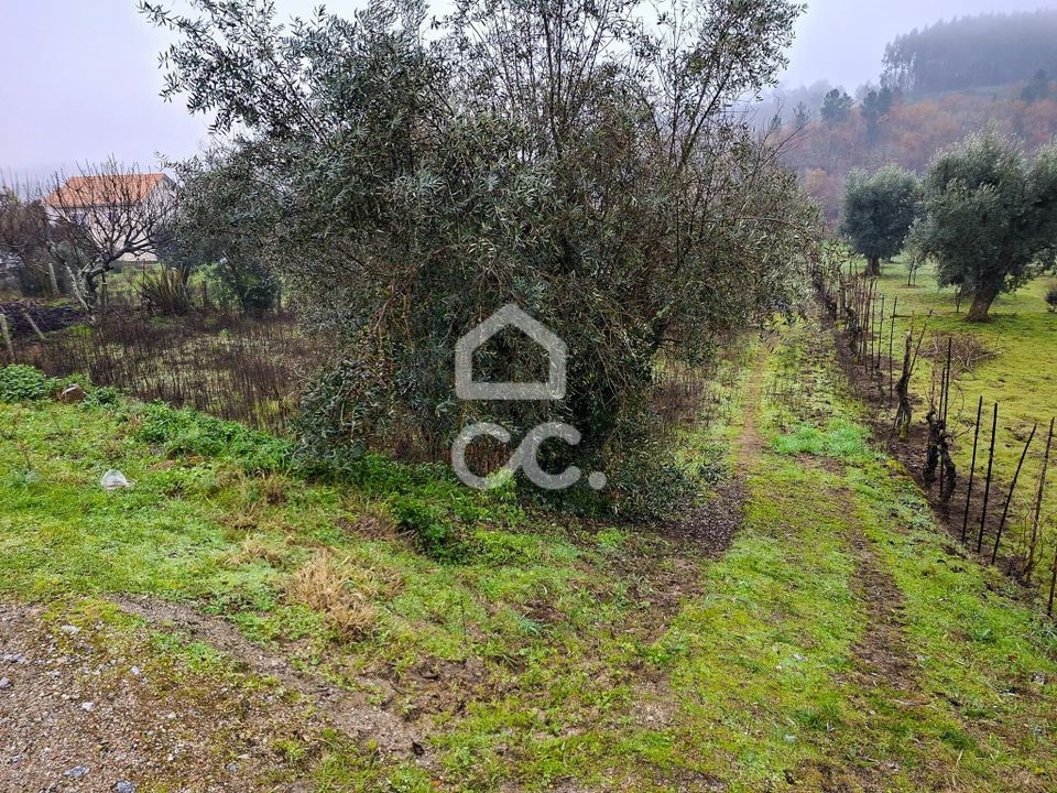 Helårsgrund i Fragosela, Viseu - foto 2