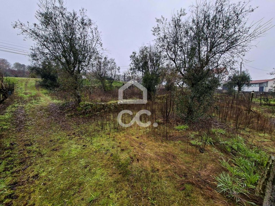 Helårsgrund i Fragosela, Viseu - foto 4