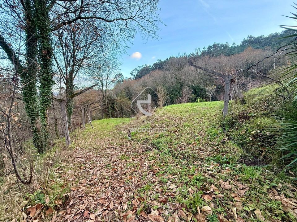Tomt i Arcos de Valdevez, Viana do Castelo - bilde 2