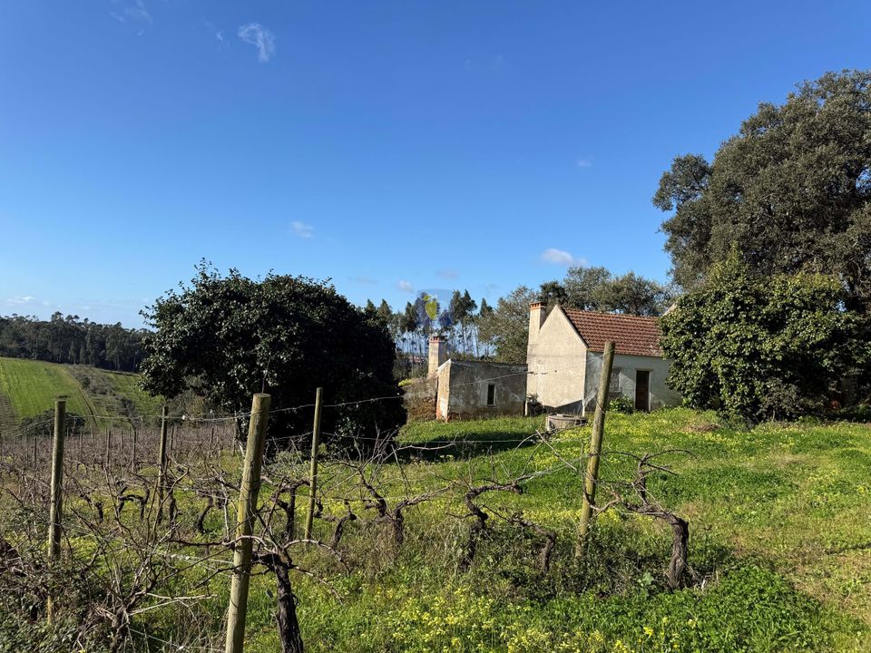Farm hus i Obidos, Leiria - foto 1