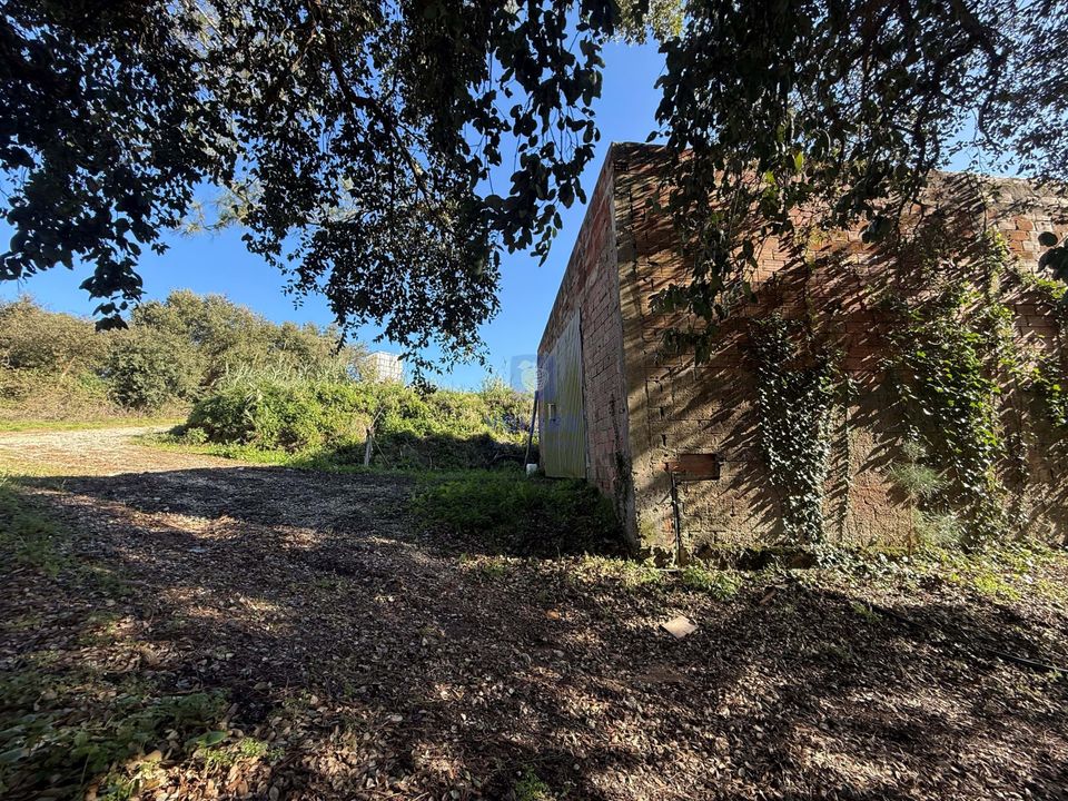 Farm hus i Obidos, Leiria - foto 5