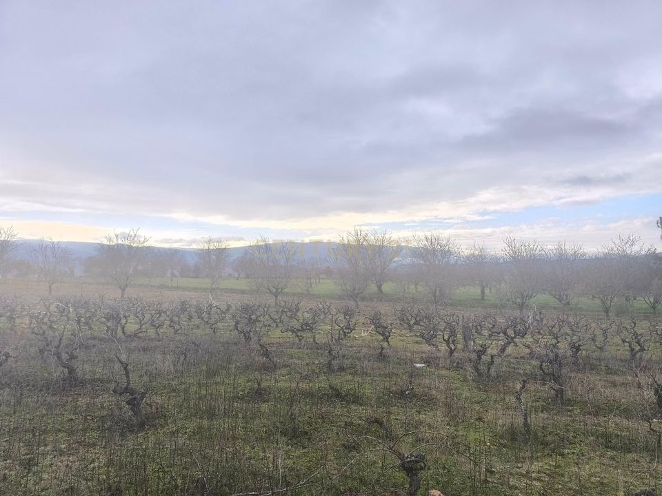 Helårsgrund i Chaves, Vila Real - foto 2