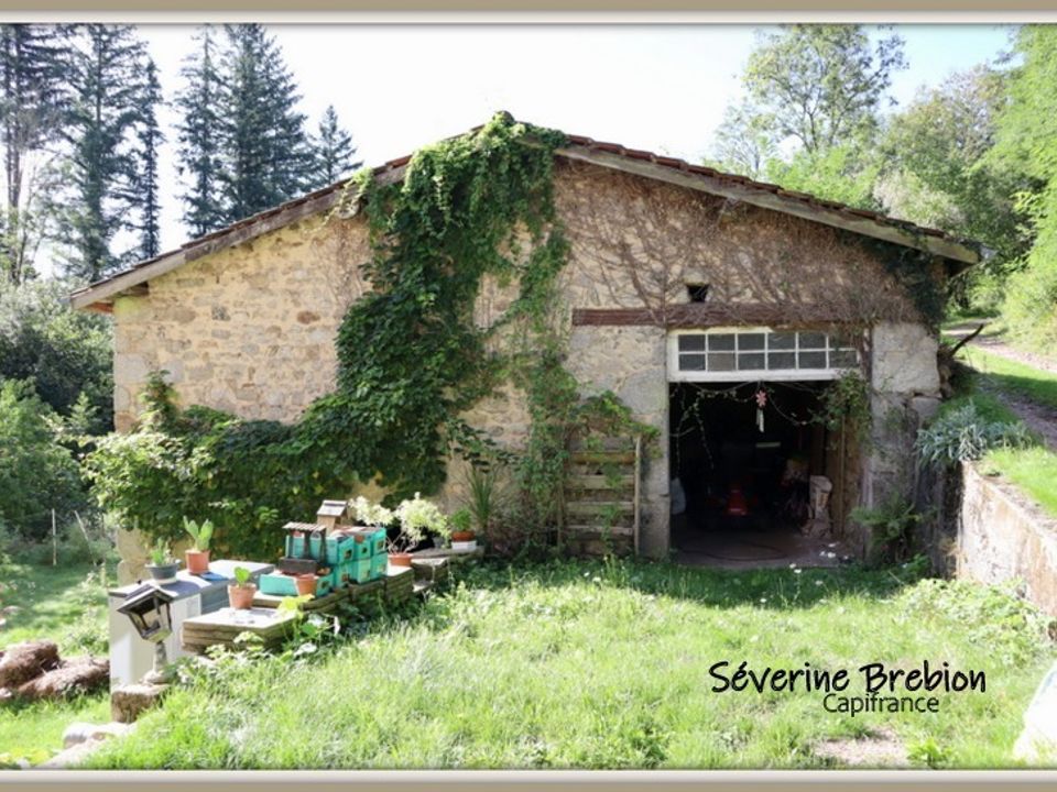 Villa i Saint-Rémy-sur-Durolle, Puy-de-Dome - foto 4