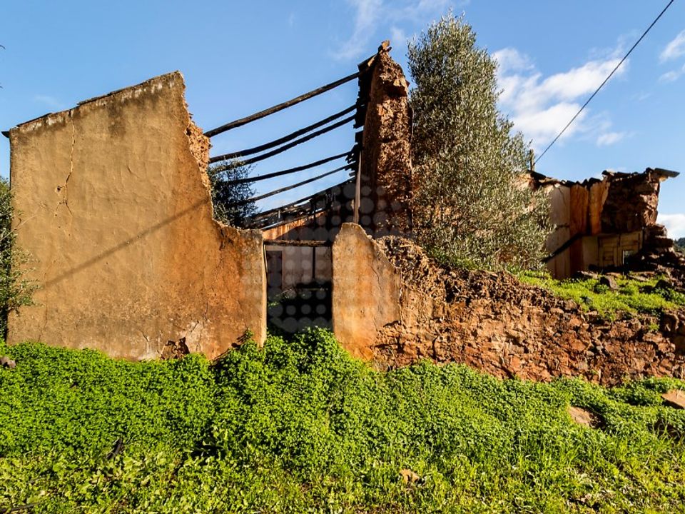 Farm i Silves, Faro - foto 4