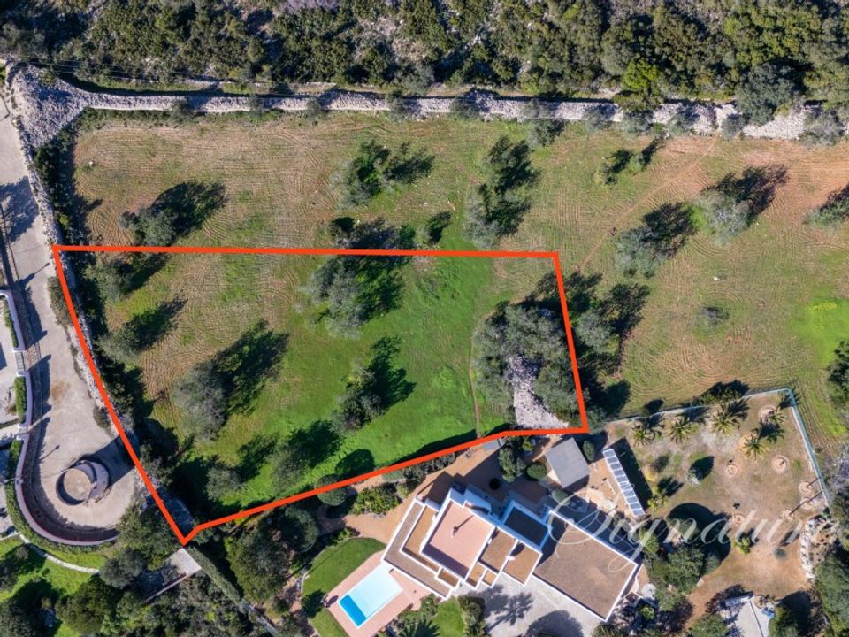 Helårsgrund i Santa Barbara de Nexe, Faro - foto 3