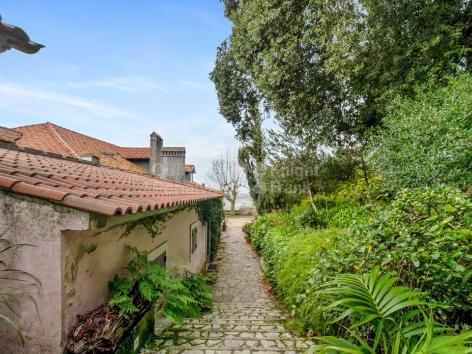 Farm i Sintra, Lisbon - foto 3