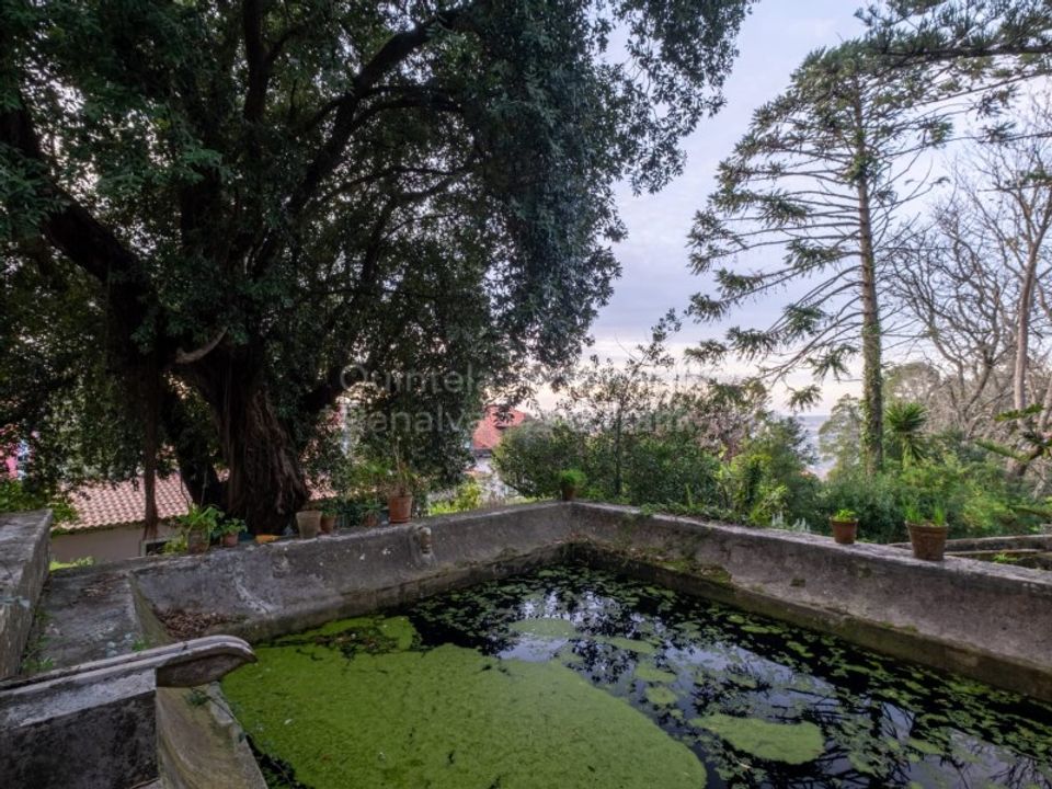 Farm i Sintra, Lisbon - foto 4