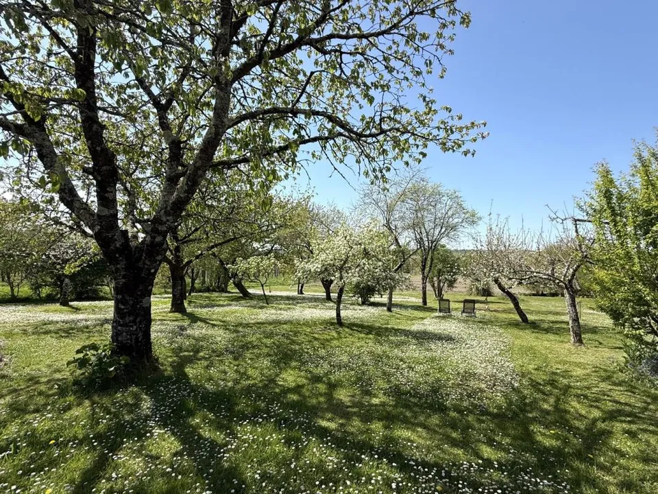 Villa i Nanteuil-Auriac-de-Bourzac, Dordogne - foto 5