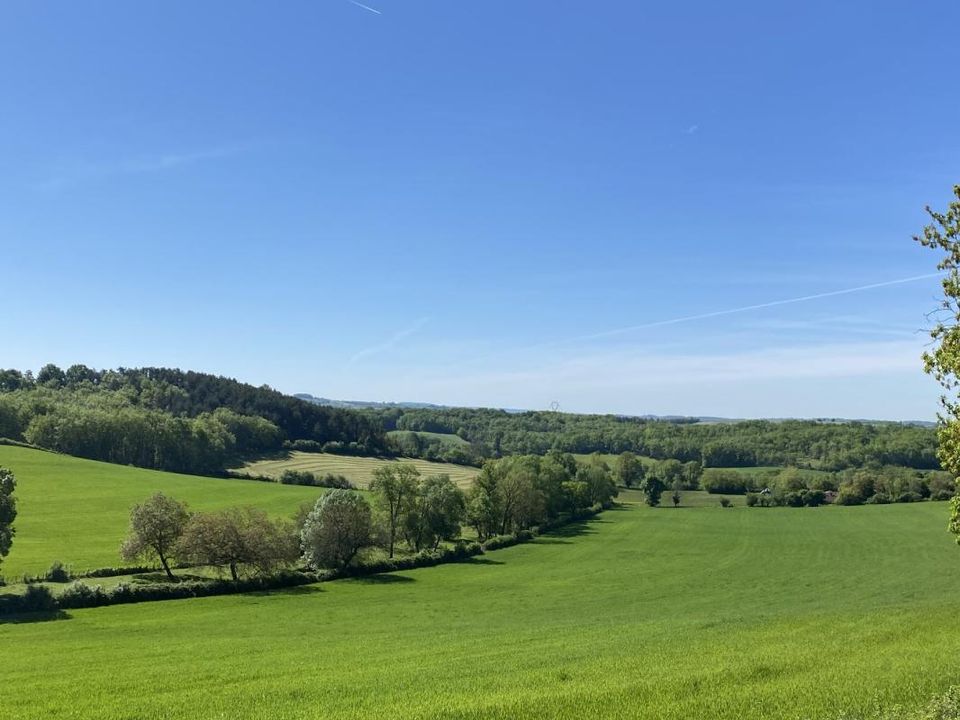 Landejendom i Gurat, Charente - foto 5