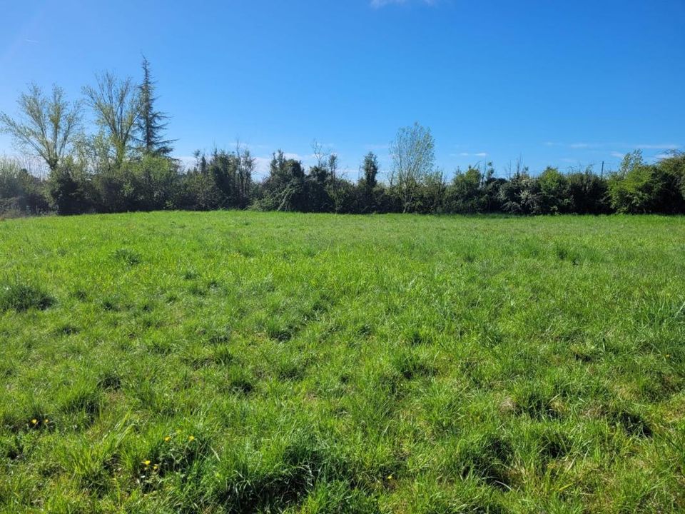 Helårsgrund i Castelnau-Montratier, Lot - foto 1