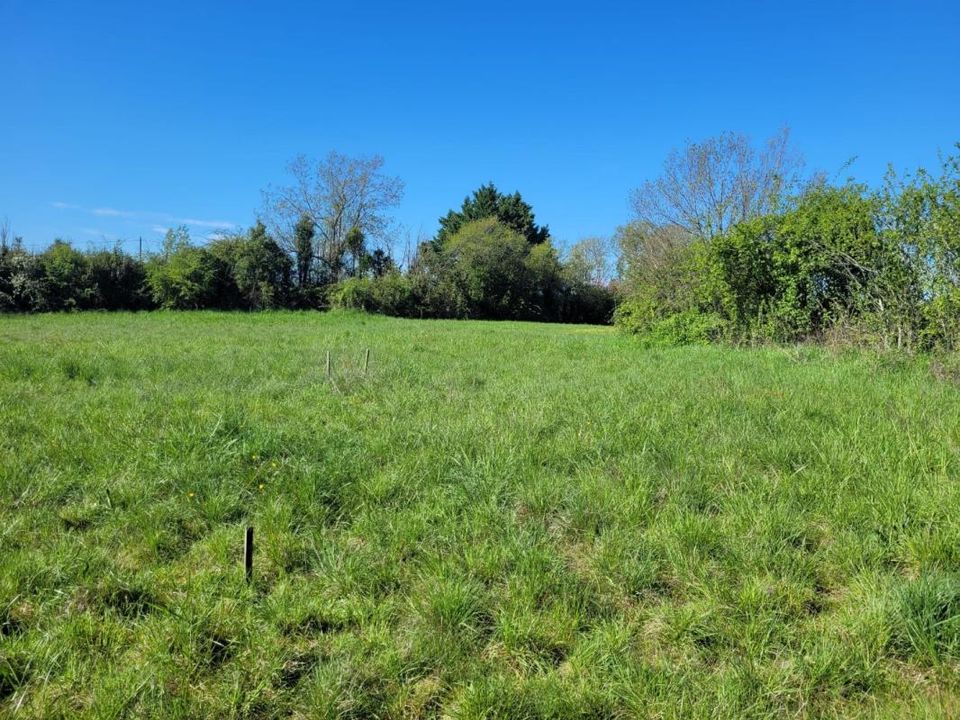 Helårsgrund i Castelnau-Montratier, Lot - foto 5