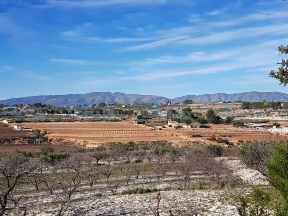 Helårsgrund i Agullent, Valencia - foto 1