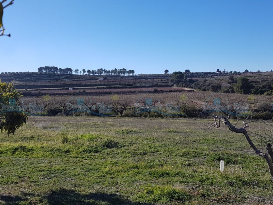 Helårsgrund i Agullent, Valencia - foto 2