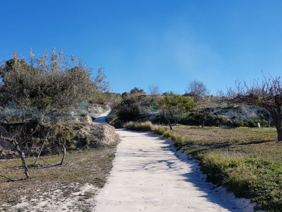 Helårsgrund i Agullent, Valencia - foto 3