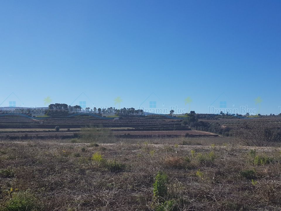 Helårsgrund i Agullent, Valencia - foto 4