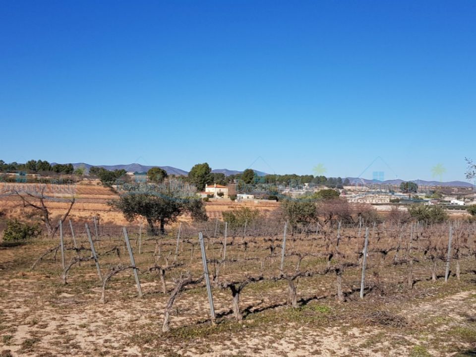 Helårsgrund i Agullent, Valencia - foto 5
