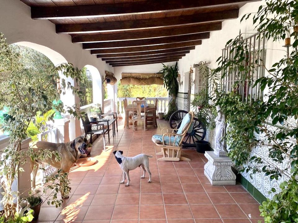 Cortijo i San Martin Del Tesorillo, Cadiz - foto 3