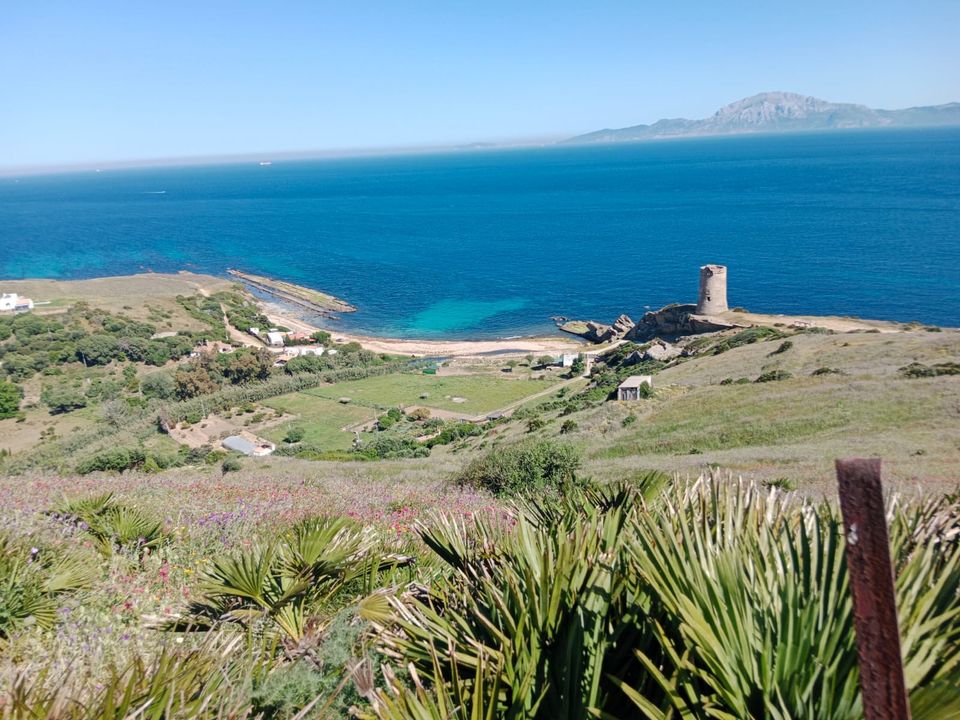 Helårsgrund i Tarifa, Cadiz - foto 1