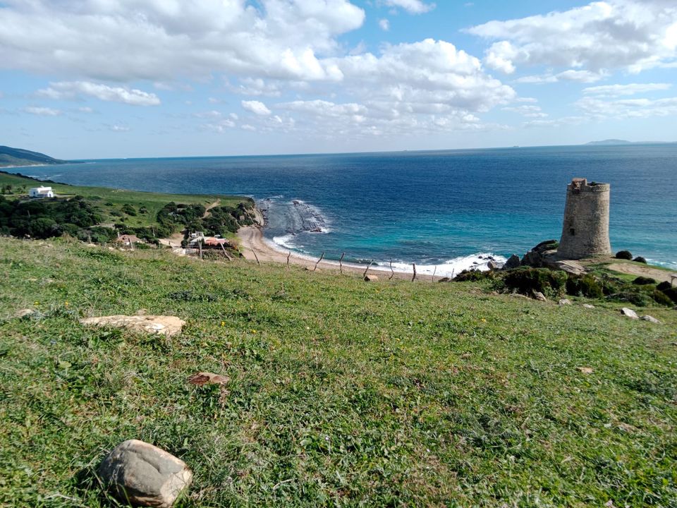 Helårsgrund i Tarifa, Cadiz - foto 3