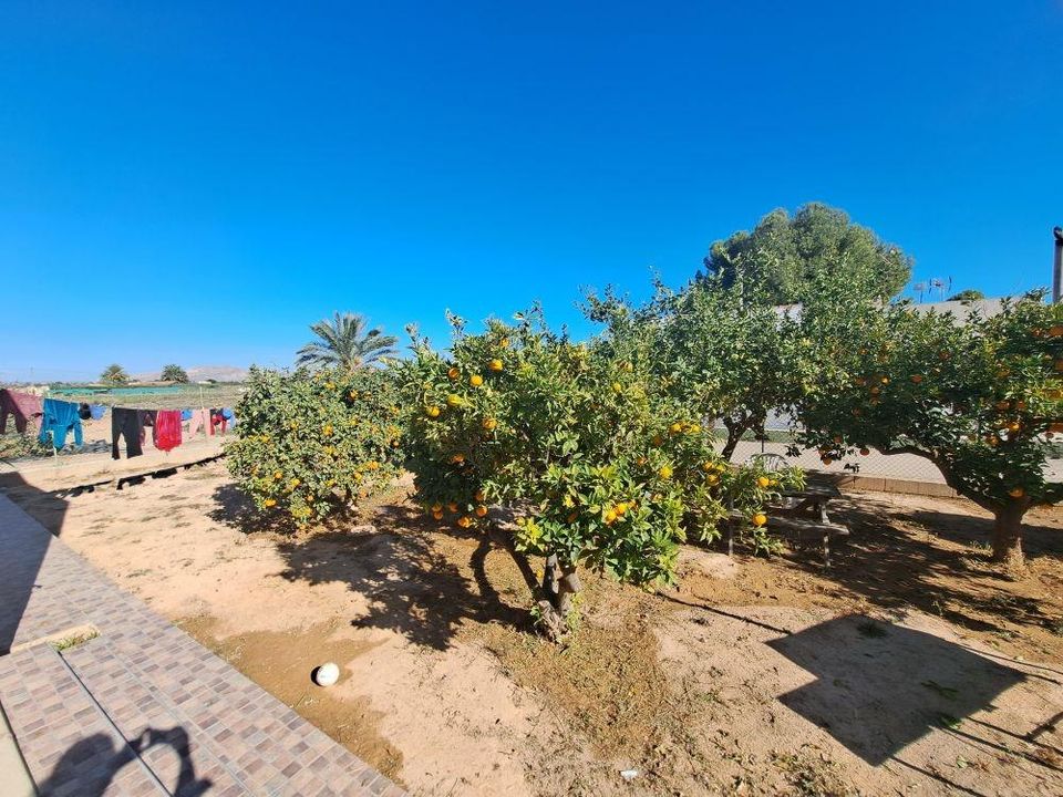 Byhus i Torre Pacheco, Murcia - foto 3