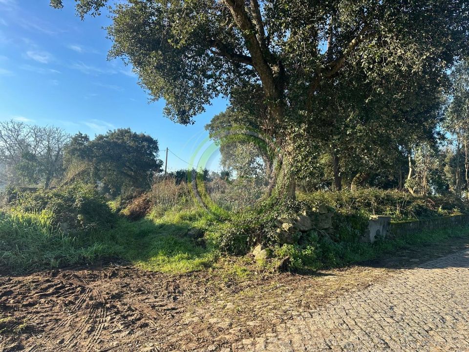 Helårsgrund i Esposende, Braga - foto 1