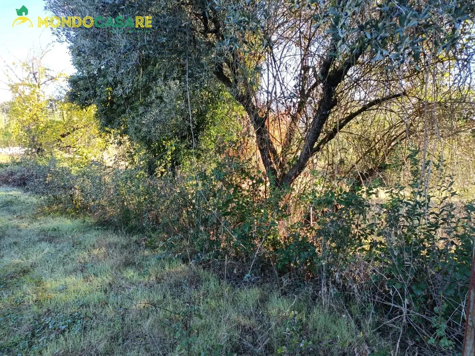 Helårsgrund i Palombara Sabina, Rome - foto 2