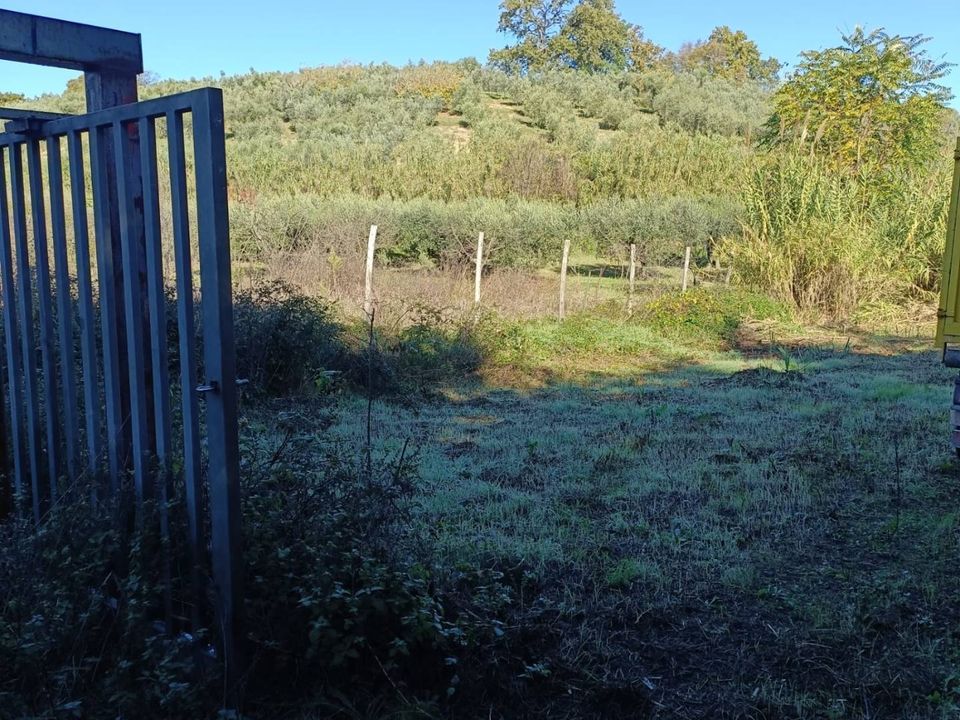 Helårsgrund i Palombara Sabina, Rome - foto 3