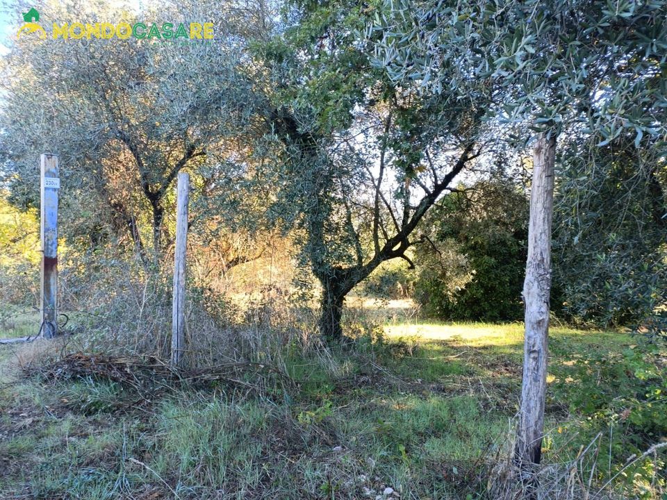 Helårsgrund i Palombara Sabina, Rome - foto 5