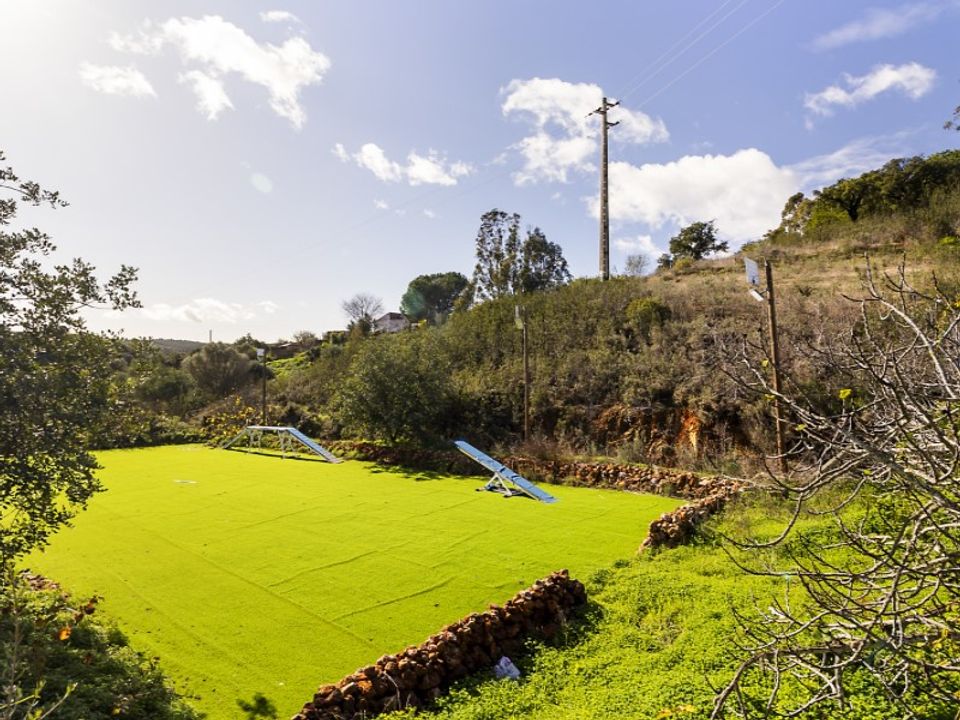 Farm i Silves, Faro - foto 3