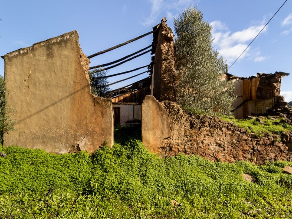 Farm i Silves, Faro - foto 4