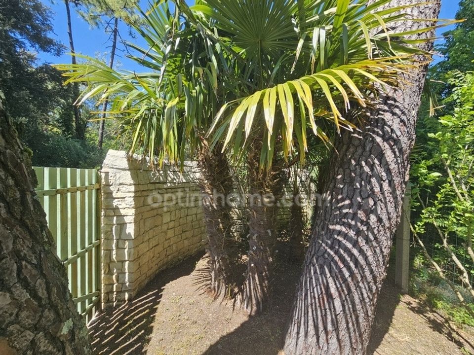Villa i Rivedoux-Plage, Charente-Maritime - foto 3
