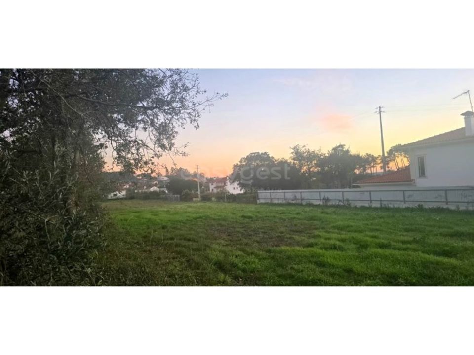Tomt i Souto da Carpalhosa e Ortigosa, Leiria - bilde 1