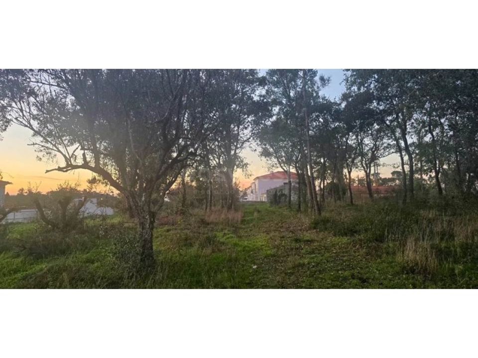 Tomt i Souto da Carpalhosa e Ortigosa, Leiria - bilde 2
