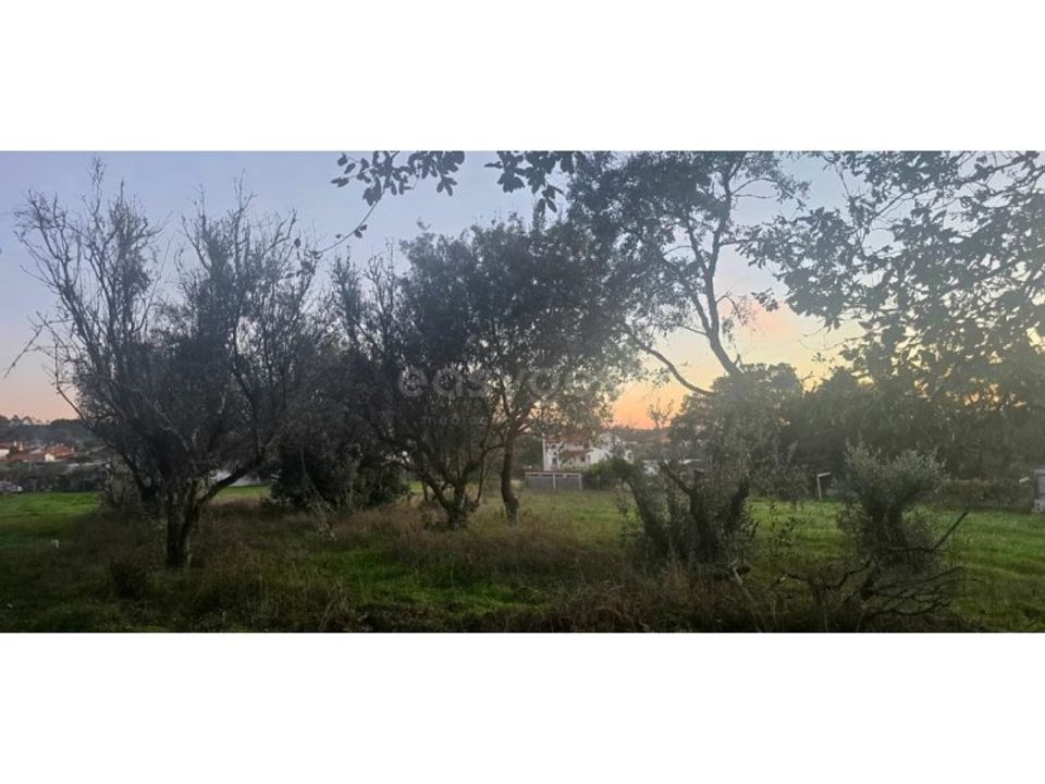 Tomt i Souto da Carpalhosa e Ortigosa, Leiria - bilde 3