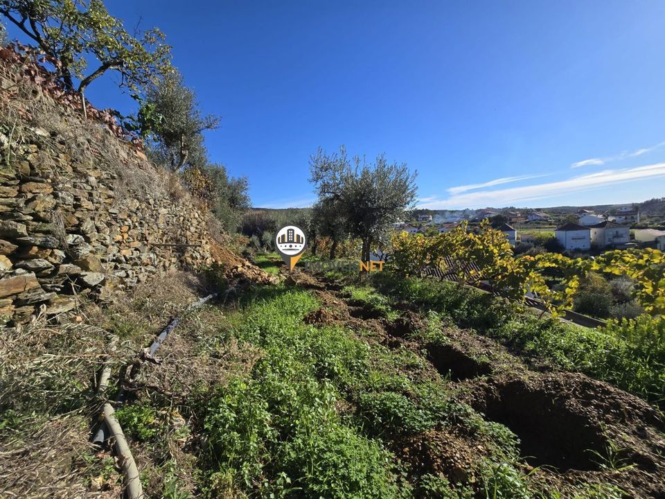 Villa i Castelo Branco, Castelo Branco - foto 3