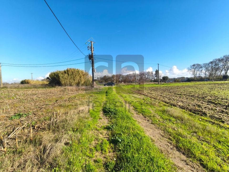 Helårsgrund i Alpiarca, Santarem - foto 1
