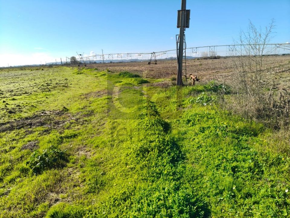 Helårsgrund i Alpiarca, Santarem - foto 2