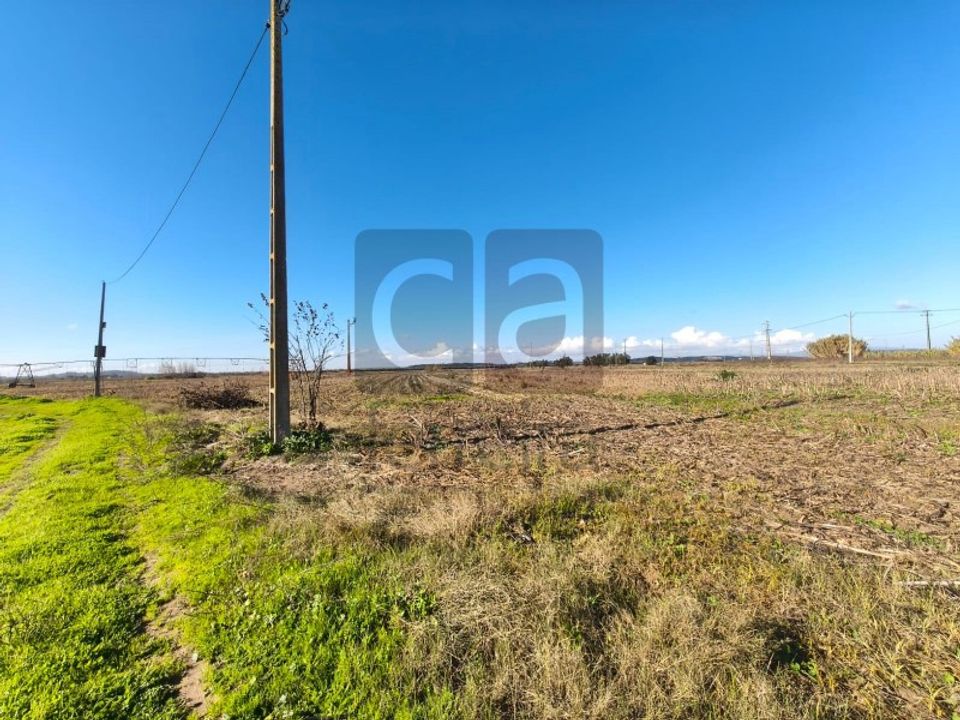 Helårsgrund i Alpiarca, Santarem - foto 3