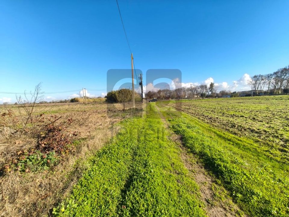 Helårsgrund i Alpiarca, Santarem - foto 4